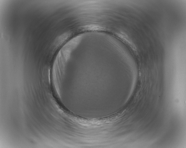 X0000066010014200603171518