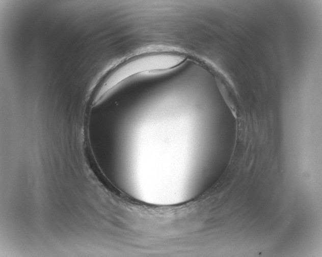 X0000066010015200603171518