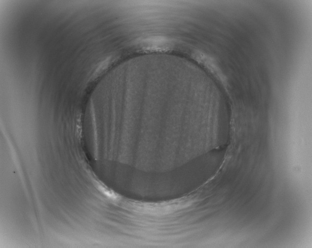 X0000066010017200603171518