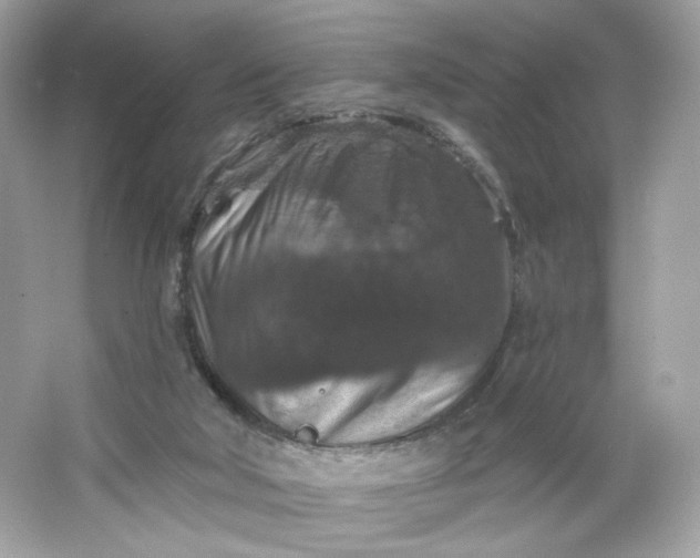 X0000066010018200603171518