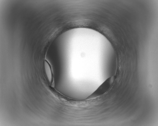 X0000066010021200603171517