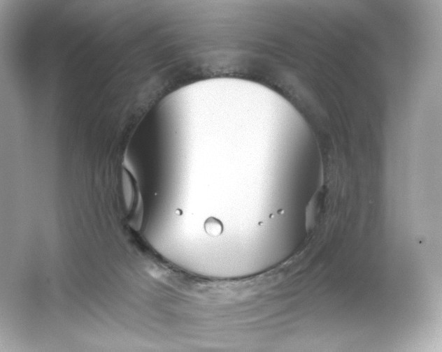 X0000066010025200603171517