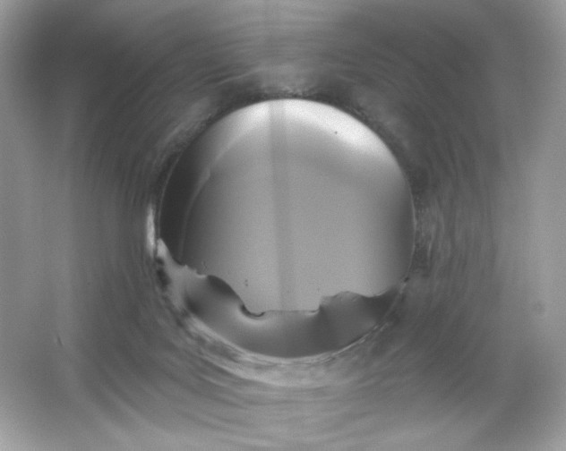 X0000066010027200603171517