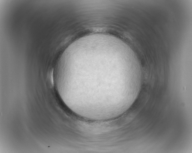 X0000066010028200603171517