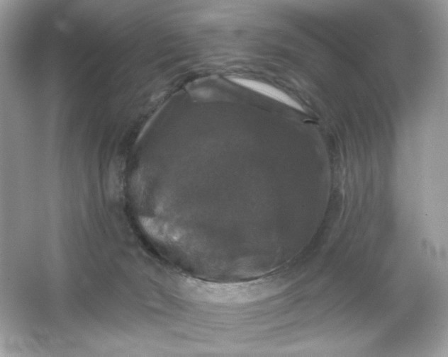 X0000066010030200603171517