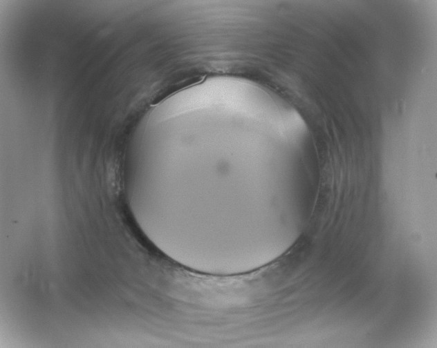 X0000066010031200603171517