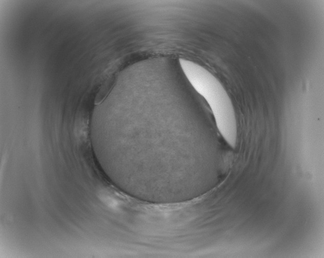 X0000066010033200603171517