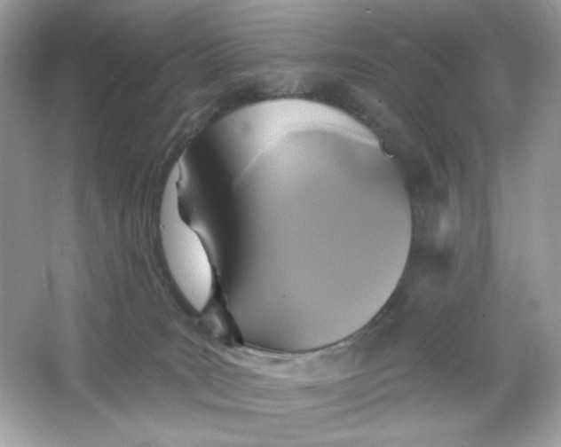 X0000066010035200603171517