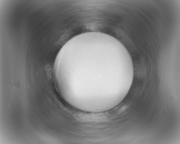 X0000066010036200603171517