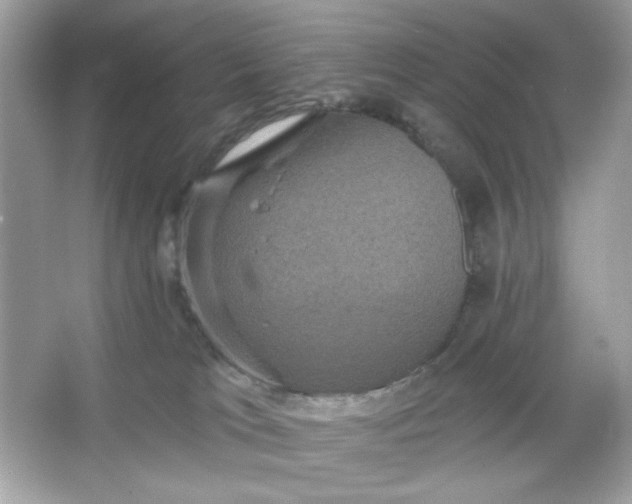 X0000066010037200603171517