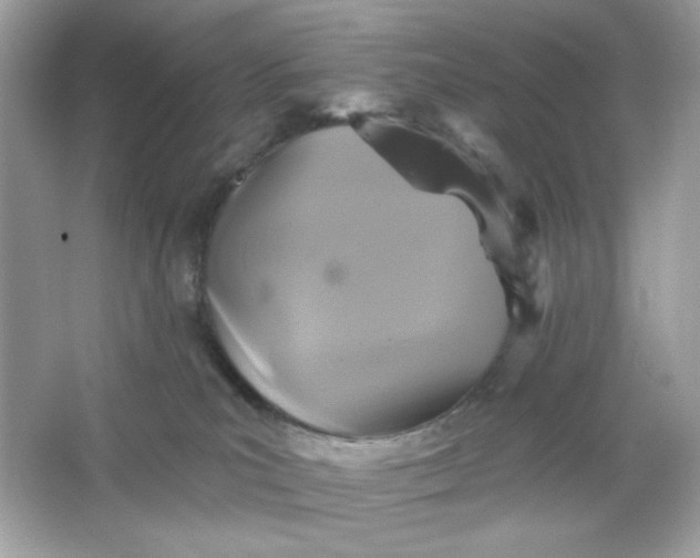 X0000066010039200603171517