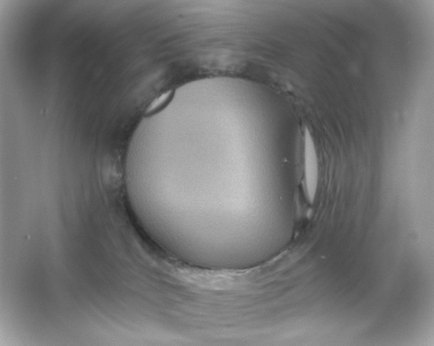 X0000066010040200603171517