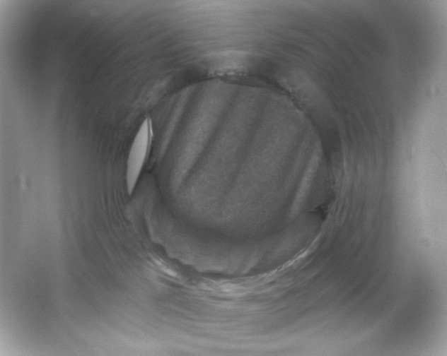 X0000066010041200603171517