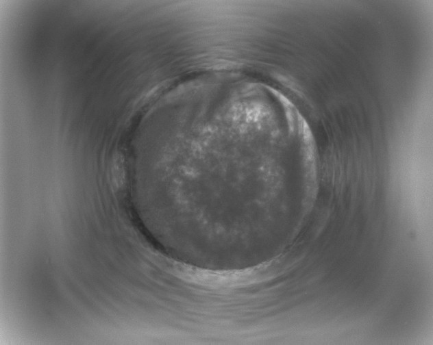 X0000066010043200603171517