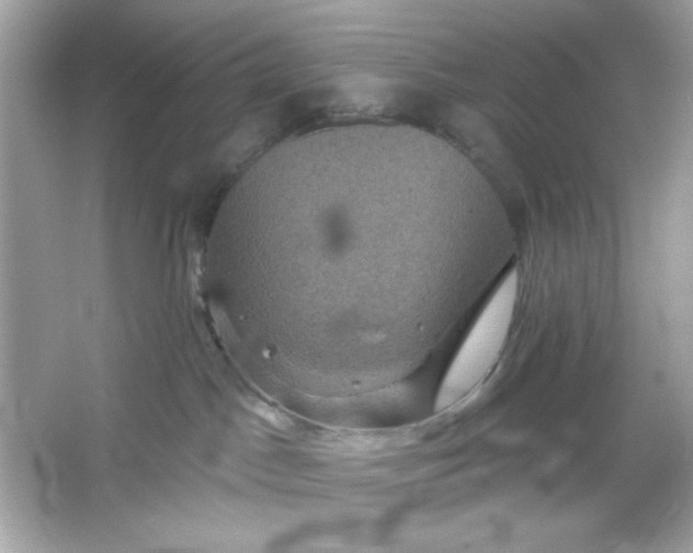 X0000066010045200603171517