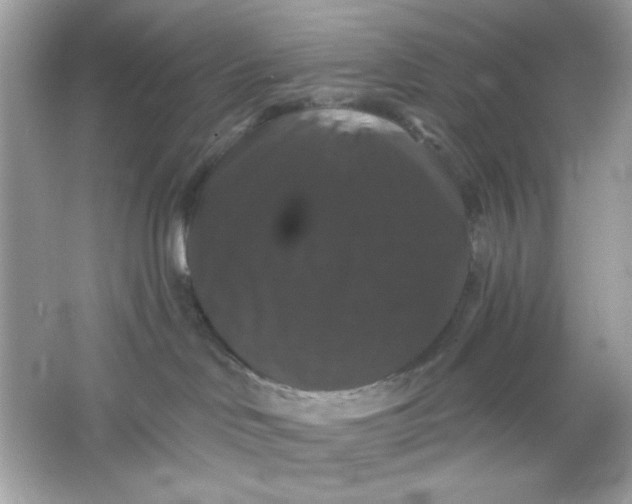 X0000066010046200603171517