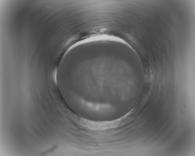 X0000066010047200603171517