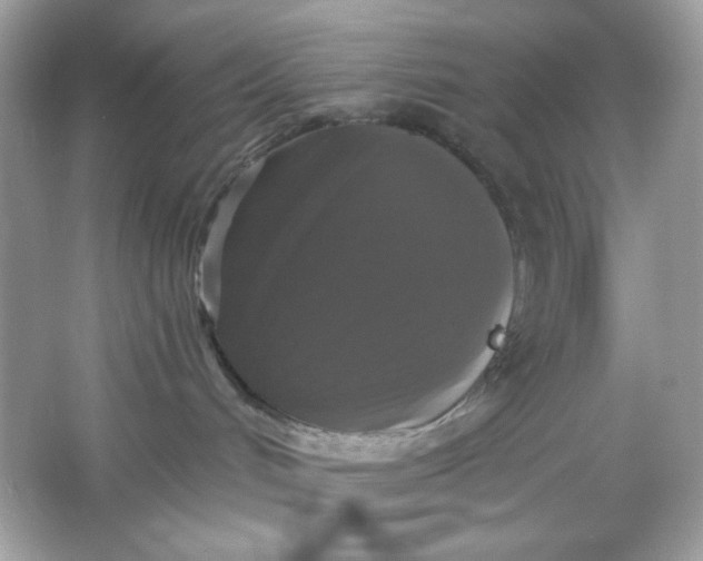 X0000066010048200603171517