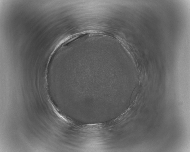 X0000066010050200603171516