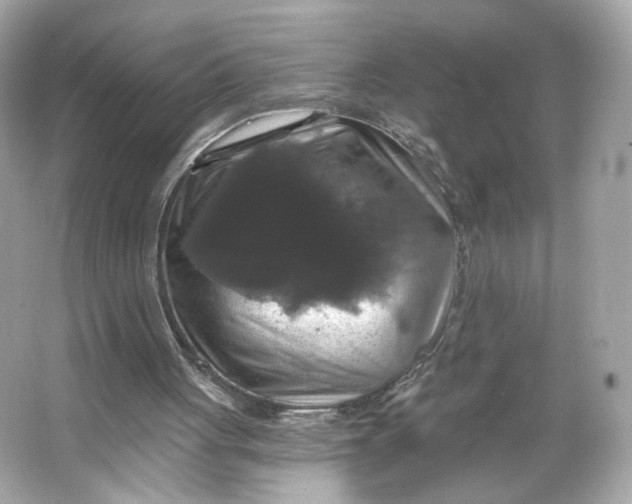 X0000066010051200603171516