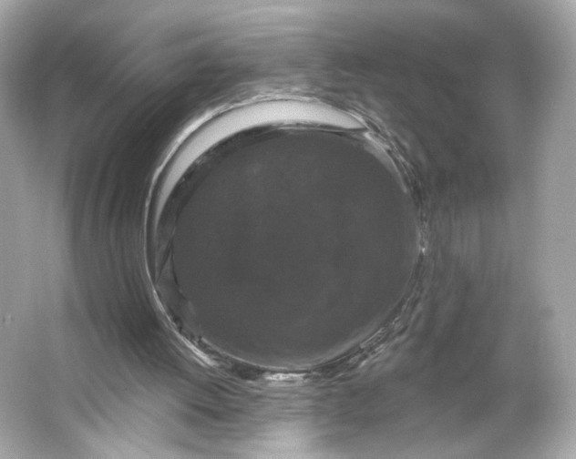 X0000066010052200603171516