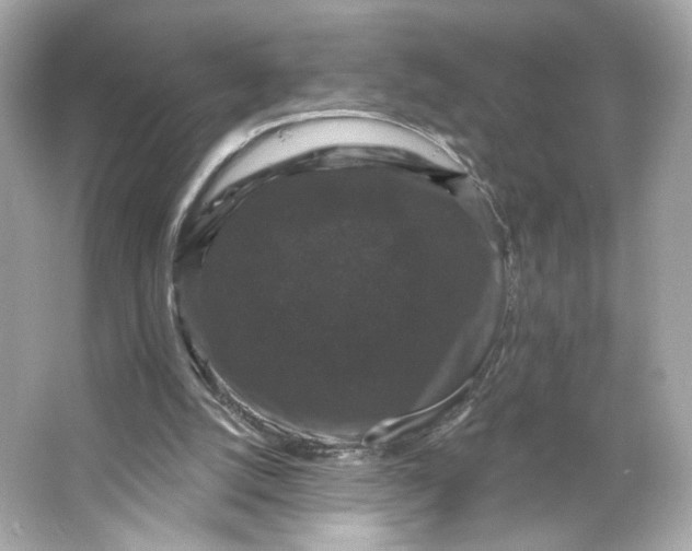 X0000066010056200603171516