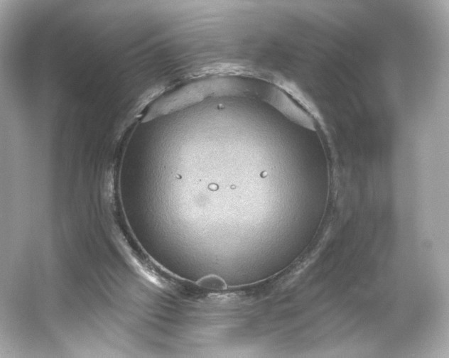 X0000066010057200603171516