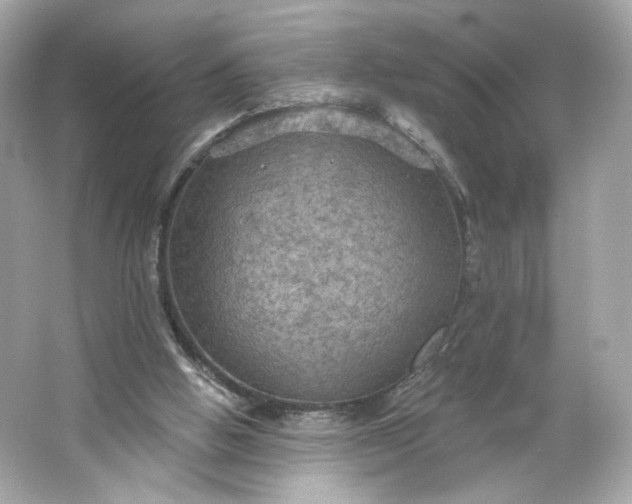 X0000066010058200603171516