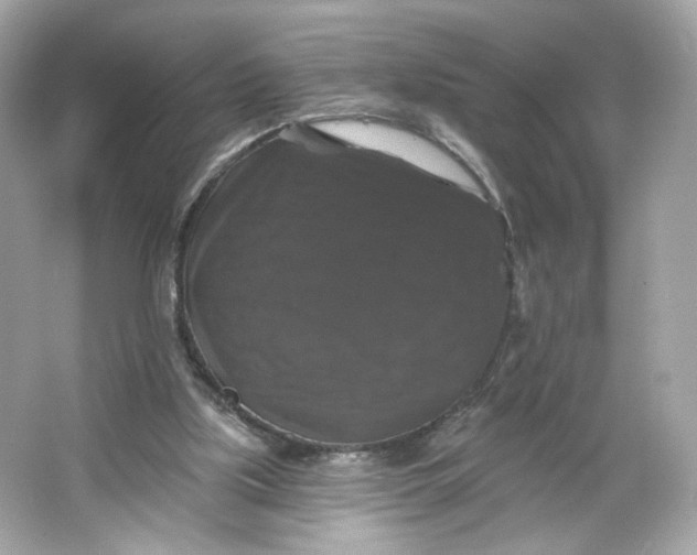 X0000066010059200603171516