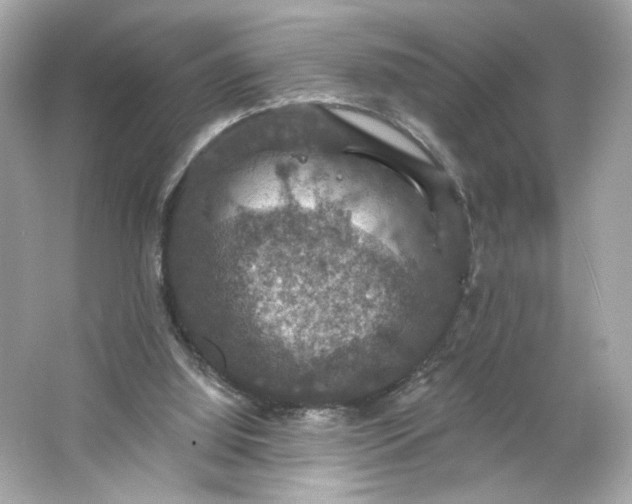 X0000066010060200603171516