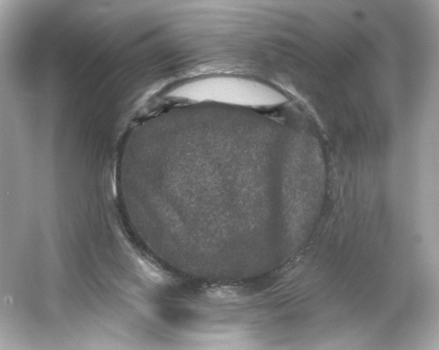 X0000066010062200603171516