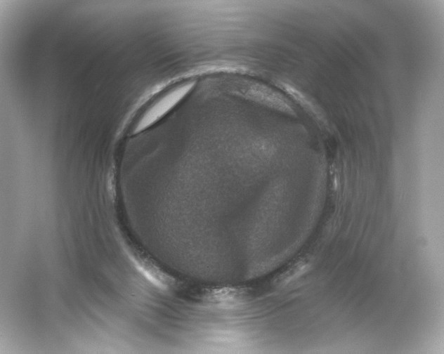 X0000066010064200603171516