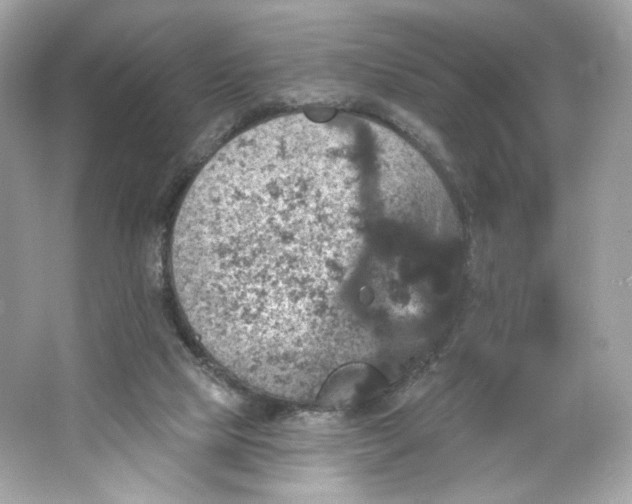 X0000066010065200603171516