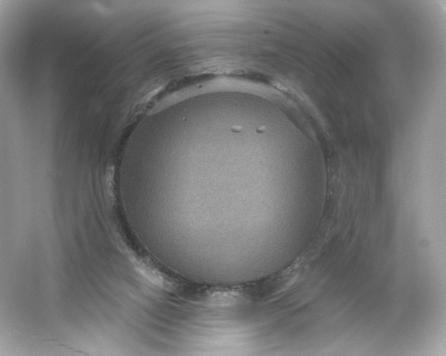 X0000066010066200603171516