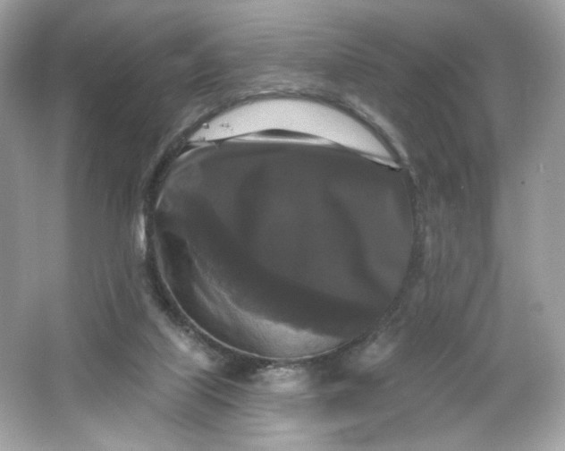 X0000066010067200603171517