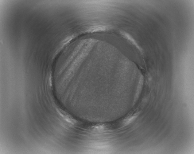 X0000066010068200603171517