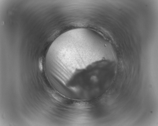 X0000066010069200603171517