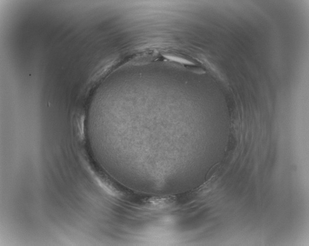 X0000066010070200603171517