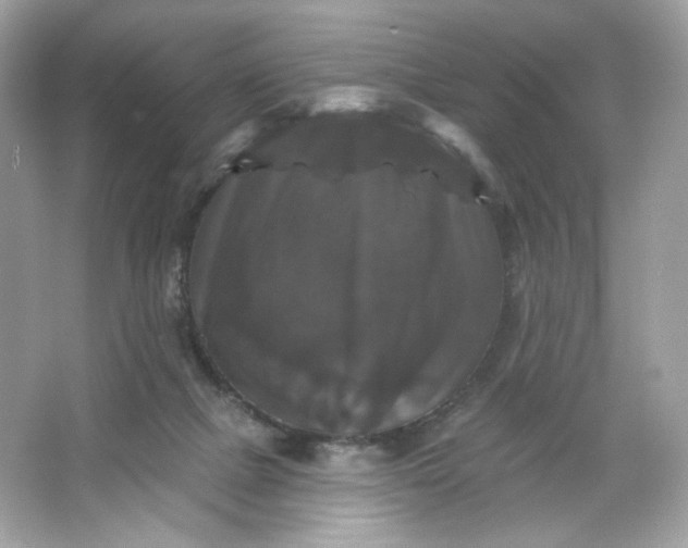 X0000066010073200603171517