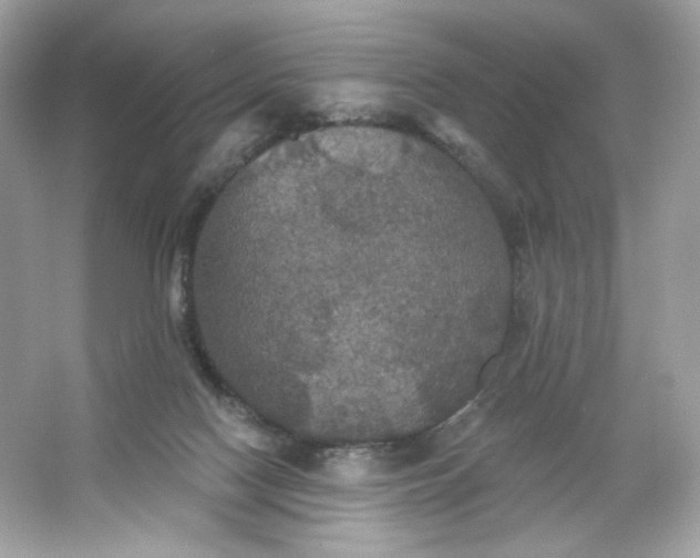 X0000066010074200603171517