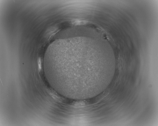 X0000066010075200603171517