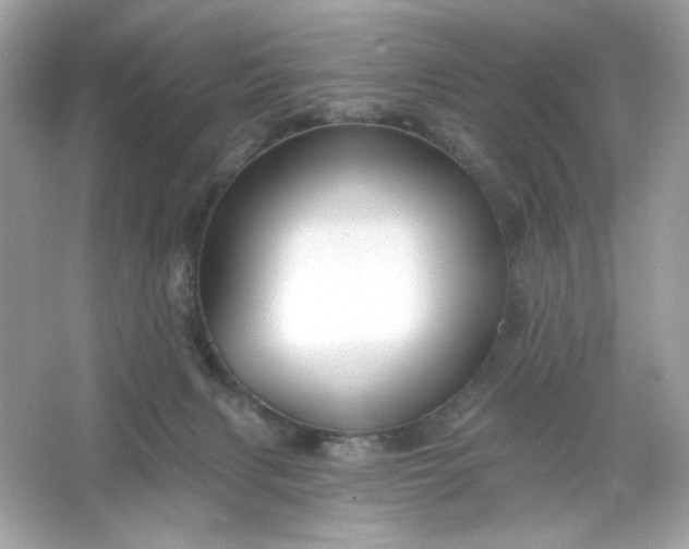 X0000066010079200603171517