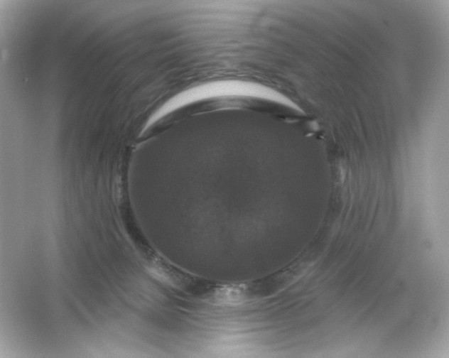 X0000066010080200603171517