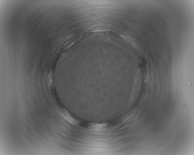 X0000066010081200603171517