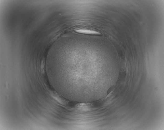 X0000066010082200603171517