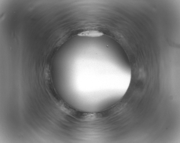 X0000066010083200603171517