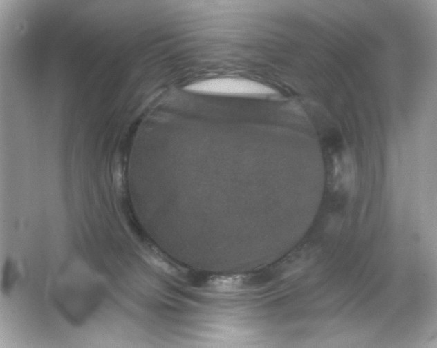 X0000066010084200603171517