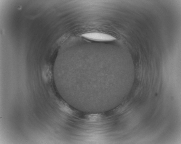 X0000066010085200603171517