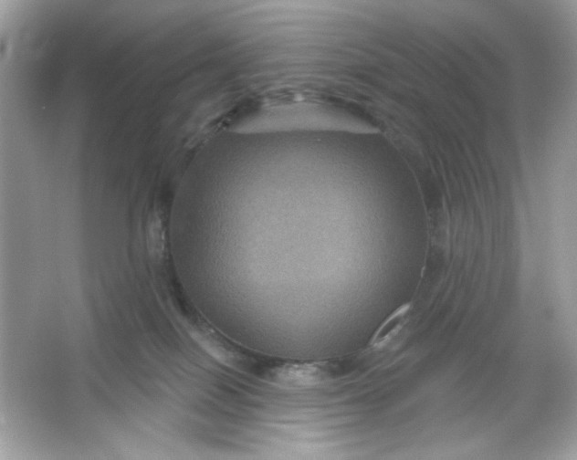 X0000066010086200603171517