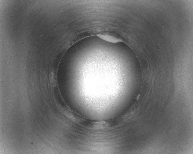 X0000066010087200603171517